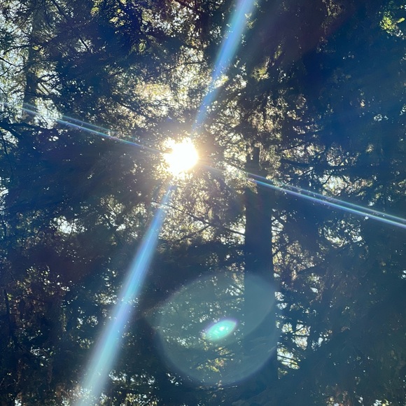 Meet your 5 ⭐️ Posh Ambassador,Jamie. Fast Shipper! Great deals! - Picture 2 of 2